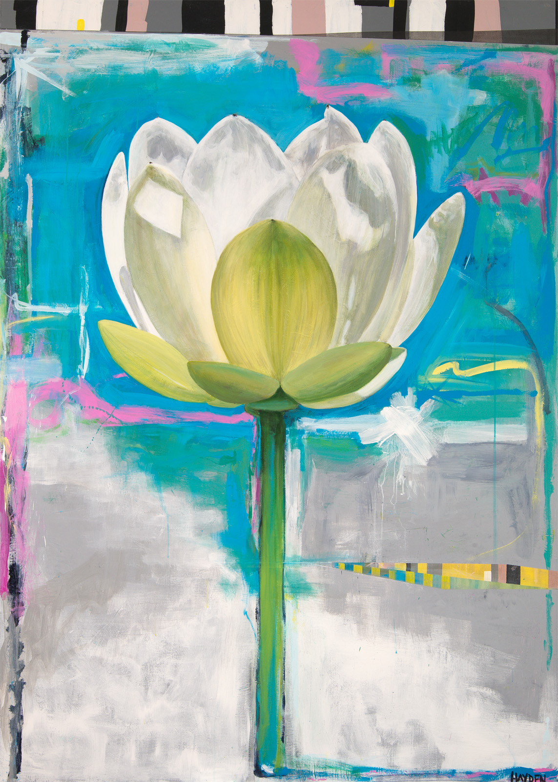 North American Lotus, Chickasaw Park, Louisville, KY, 2018
